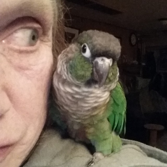 IMG_20140119_193647.jpg image